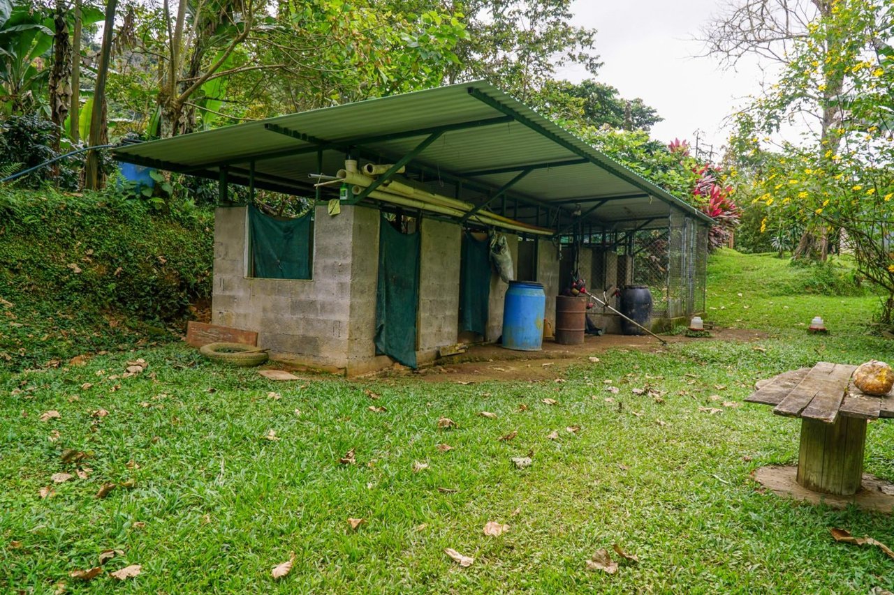 Sustainable Organic Mountain Farm, Perez Zeledon, San Jose