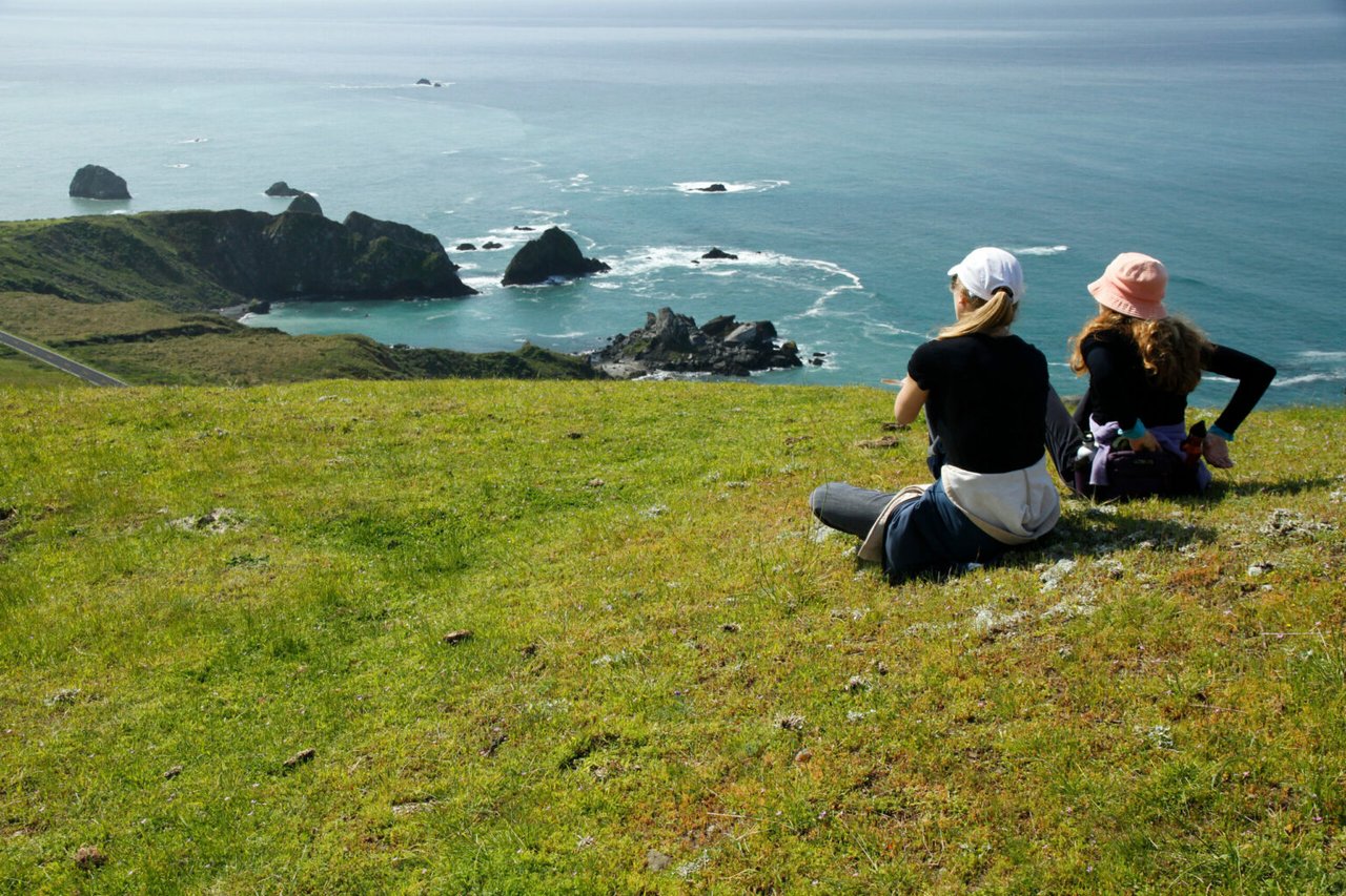 The Ultimate Guide to Exploring the Sonoma Coast on Highway 1