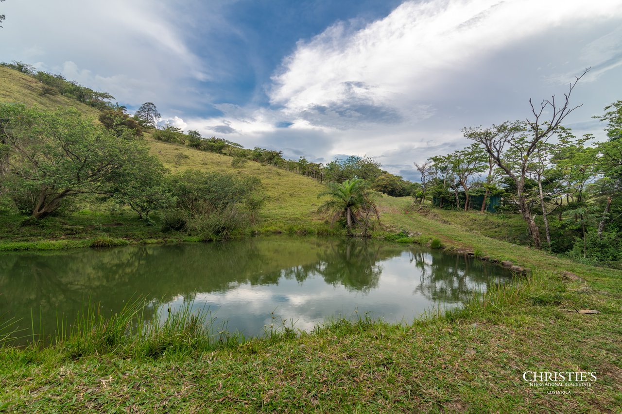 Origins Mineral: A Rare Landholding in Guanacaste’s Volcanic Highlands