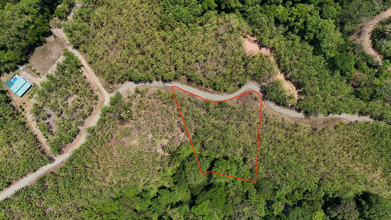 Prime 1.24-Acre Land in Matapalo / San Andrés – Ready to Build
