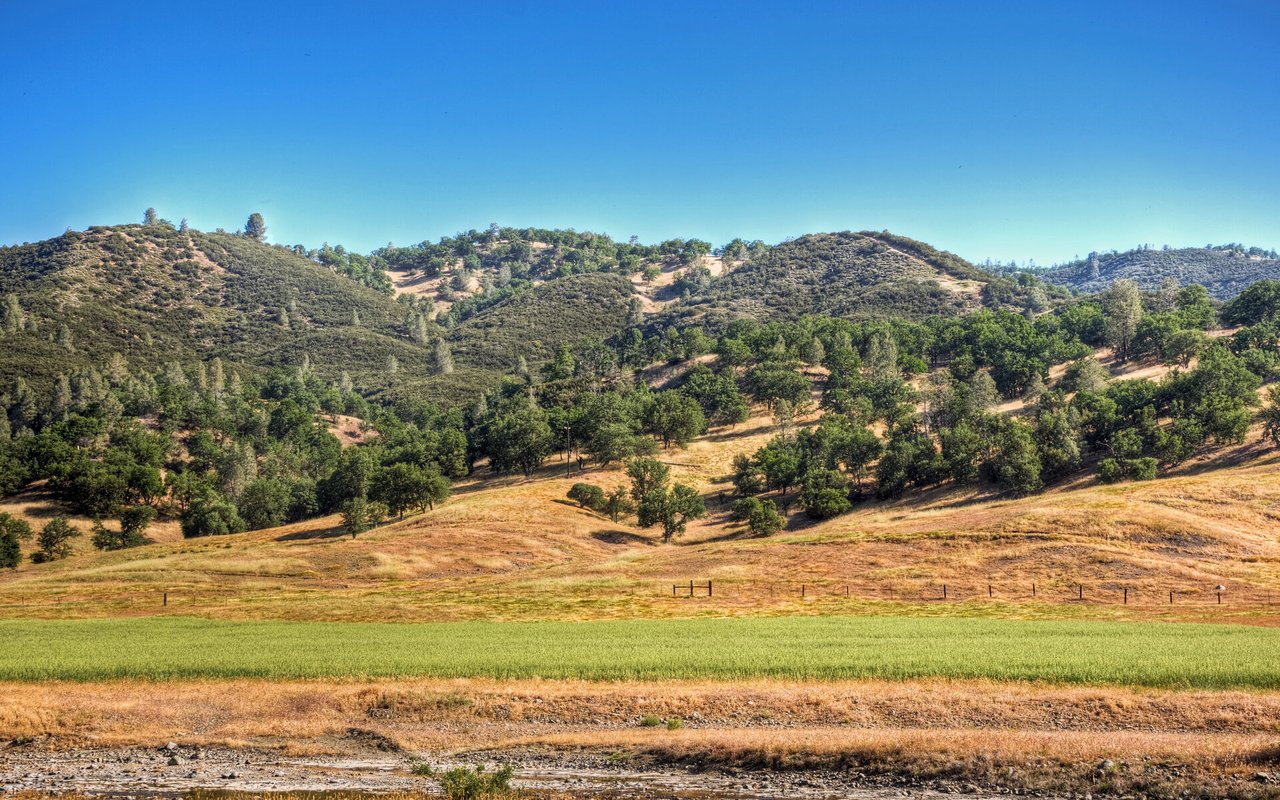 Rolling oak-covered hills above a green field in Los Gatos.