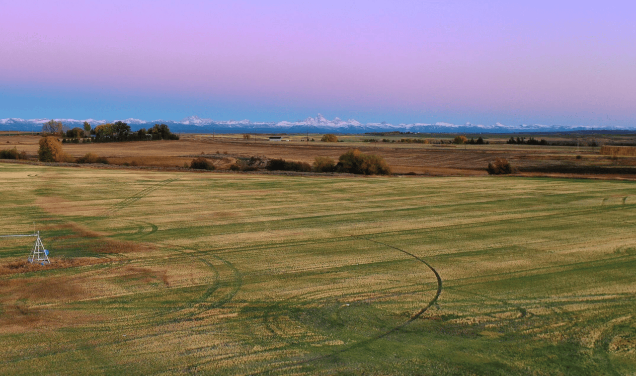 What to Consider When Buying a Lot in Teton Valley:  cover