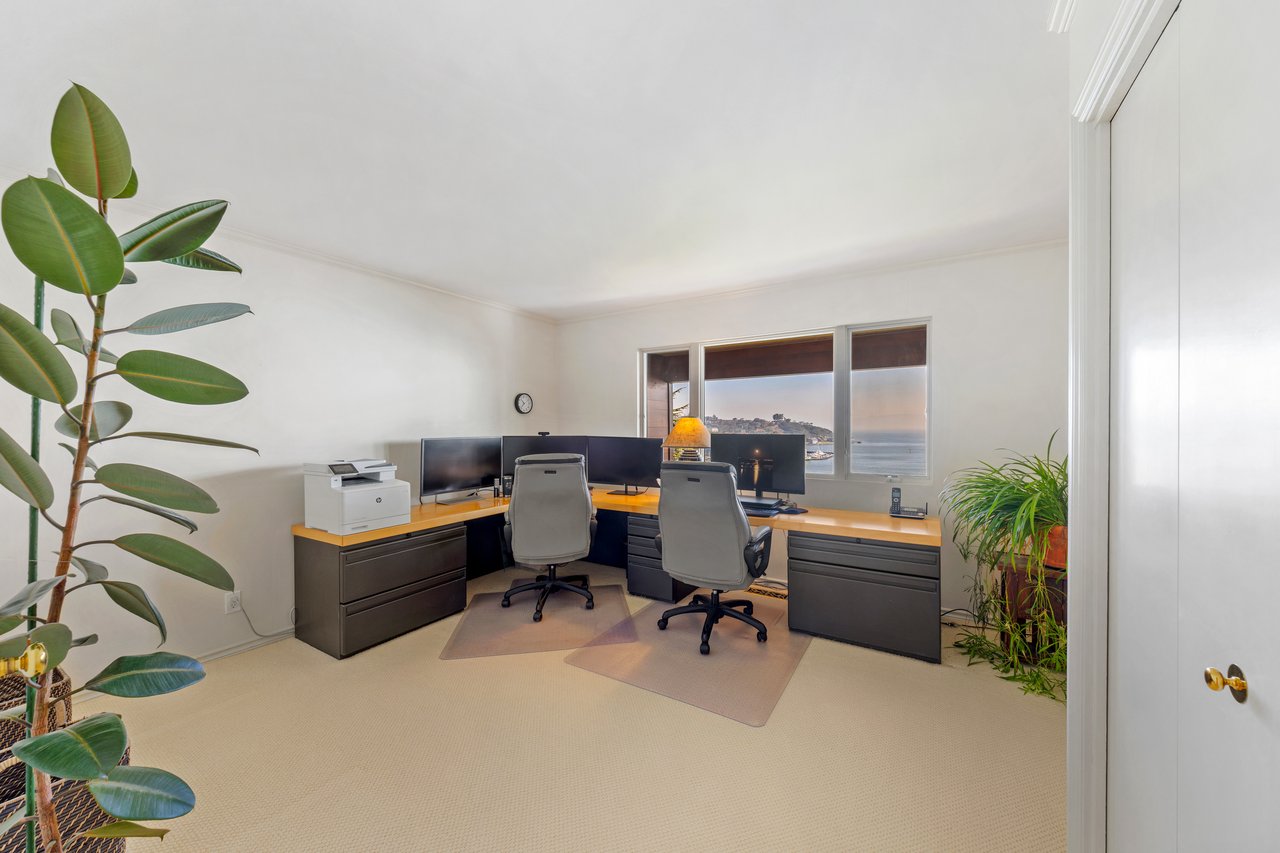 Picturesque Bay Views on Belvedere Island