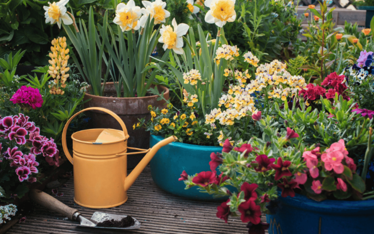Low-Maintenance Landscaping Trends for Busy Homeowners