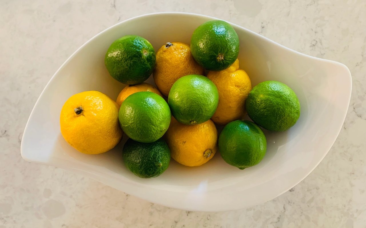 Our Family's Signature Cocktail - The FoxLeap!