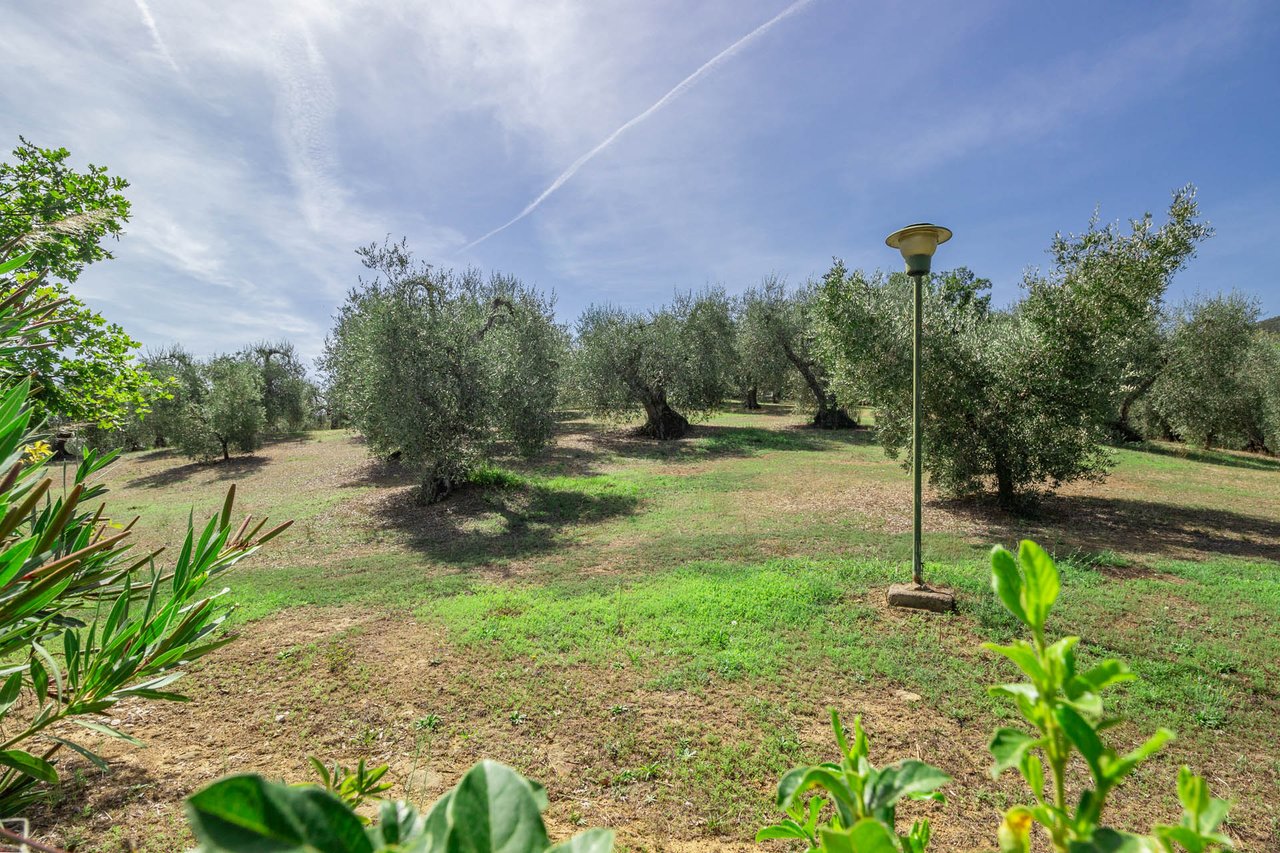 Villa in the Countryside between Sea and City