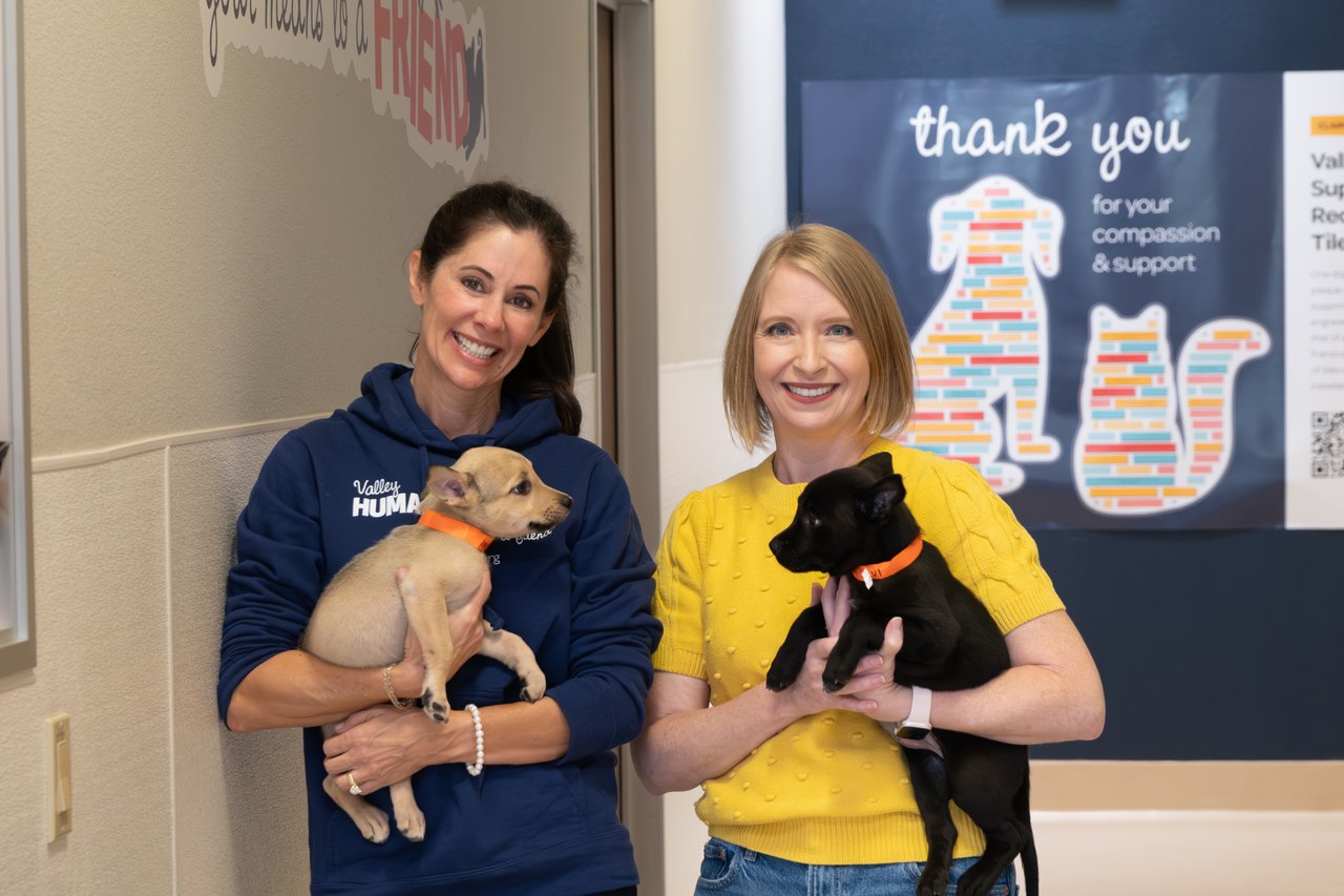 Valley Humane Society