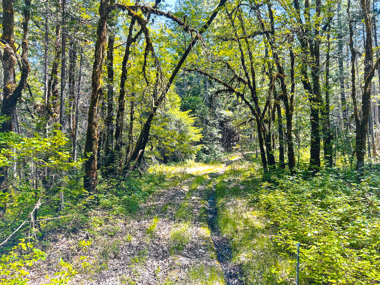 WAGON ROAD HOMESTEAD