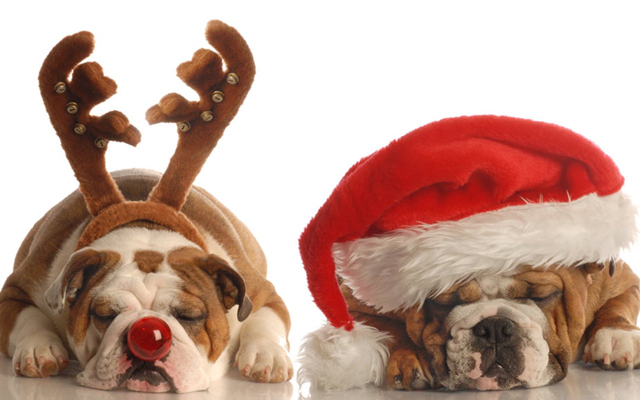 Holiday Happenings