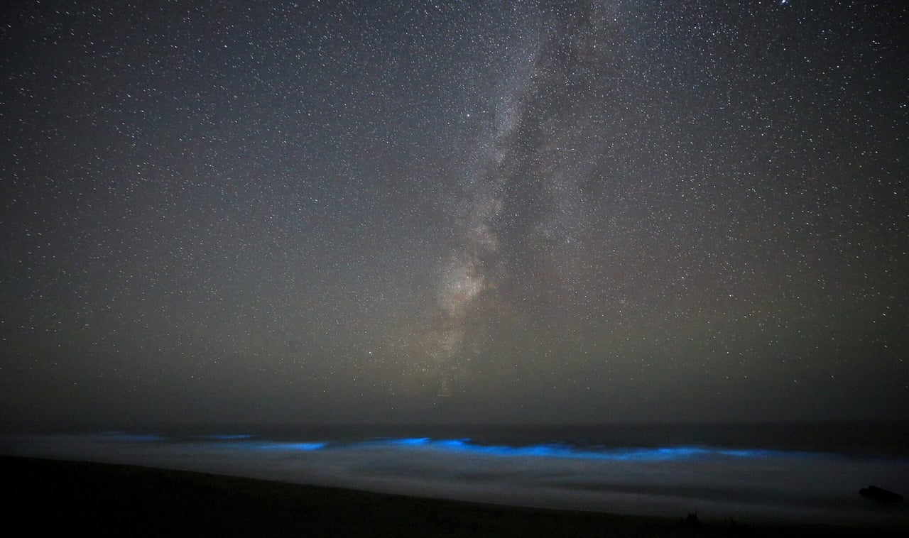Where To See Bioluminescence in Sonoma and Marin Counties
