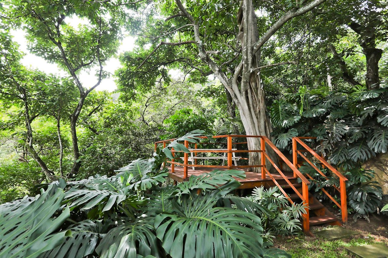 Modern Forest View Home, Santa Ana, San Jose