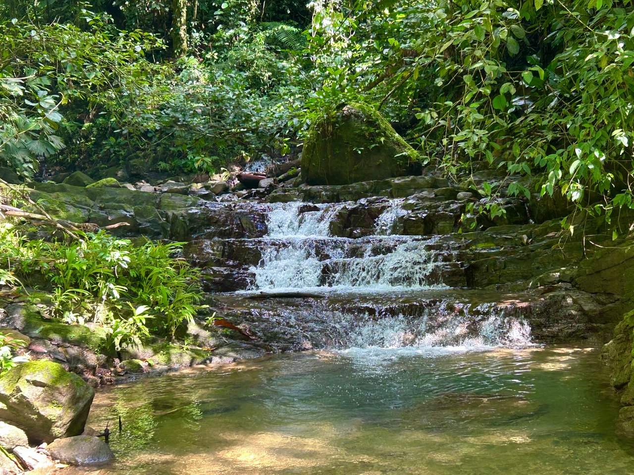 Selva Vista Estate – 5.9 Acres of Wild Beauty