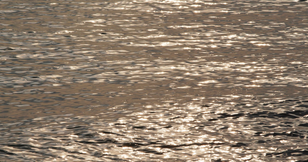 Sunlight glints across rippling water.