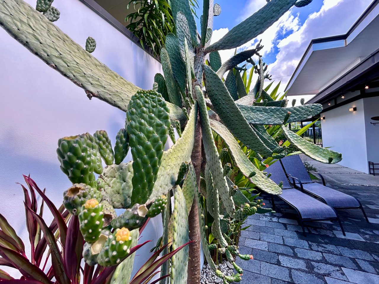 Walk-to-Everything Uvita Retreat | 3BR Home Minutes from the Beach