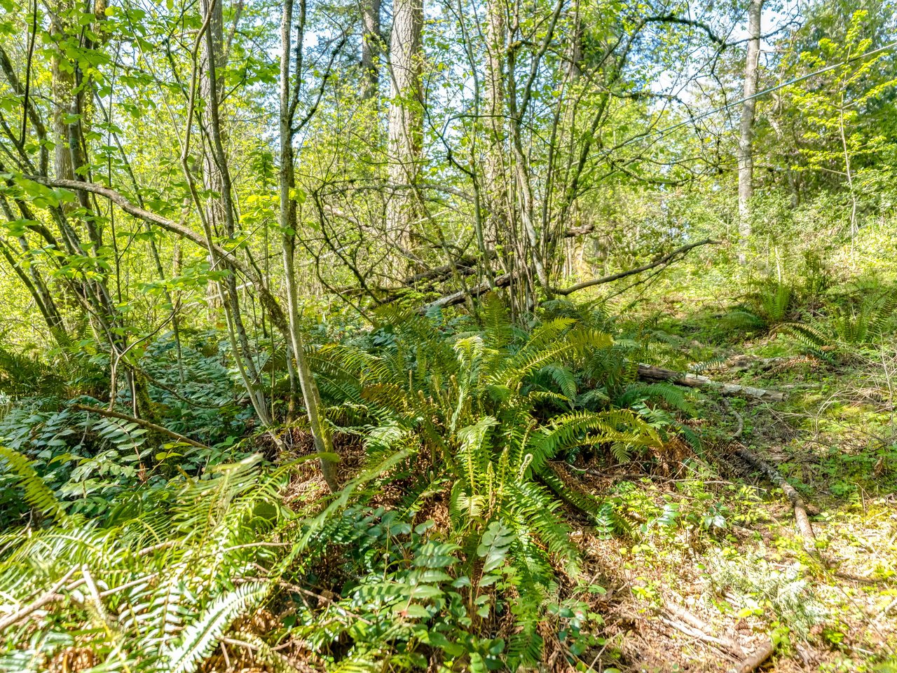 Washougal 5 acre land for sale.