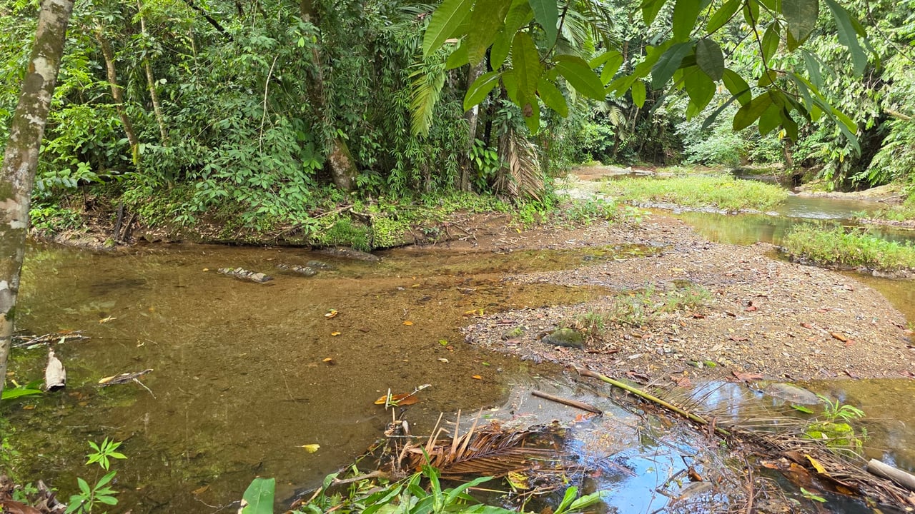 Refreshing Riverfront Retreat in Ojochal
