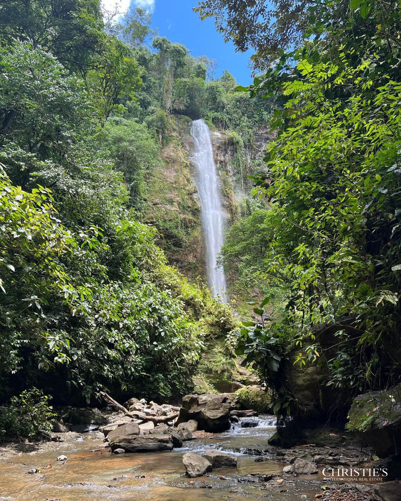 El Encanto Estate Waterfall, Regenerative Land & Carbon‑Neutral Sanctuary a Legacy Property