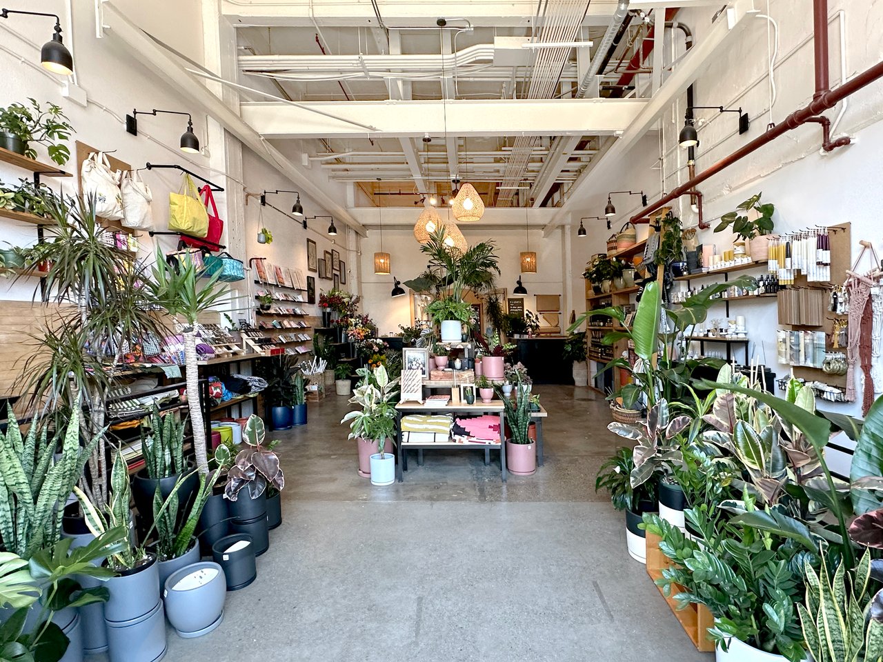 District 9 – Central East