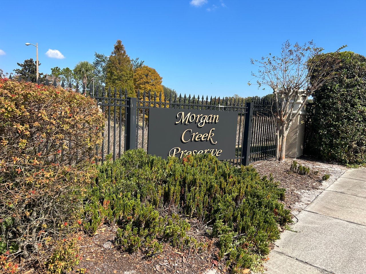 Morgan Creek Preserve