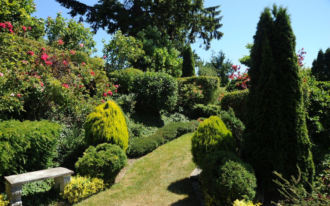 Inspired by a Hedge