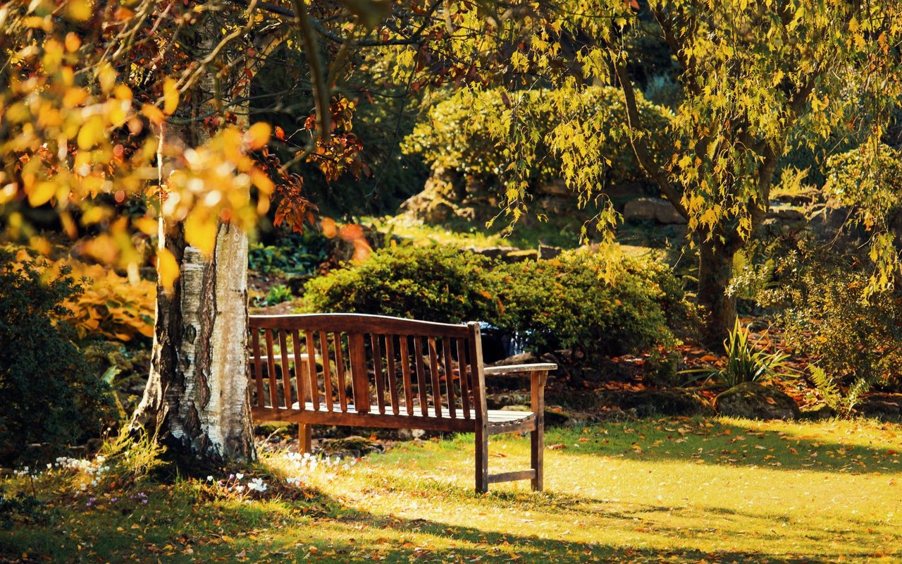 Things to Consider When Buying a Home With Cash