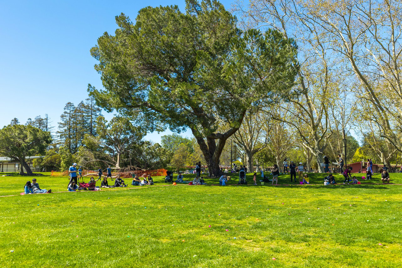 Easter Egg Hunt Fun