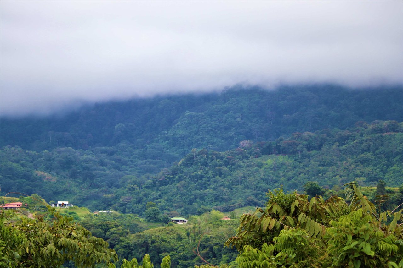 9 acres property with 360 panoramic views and 80m highway frontage