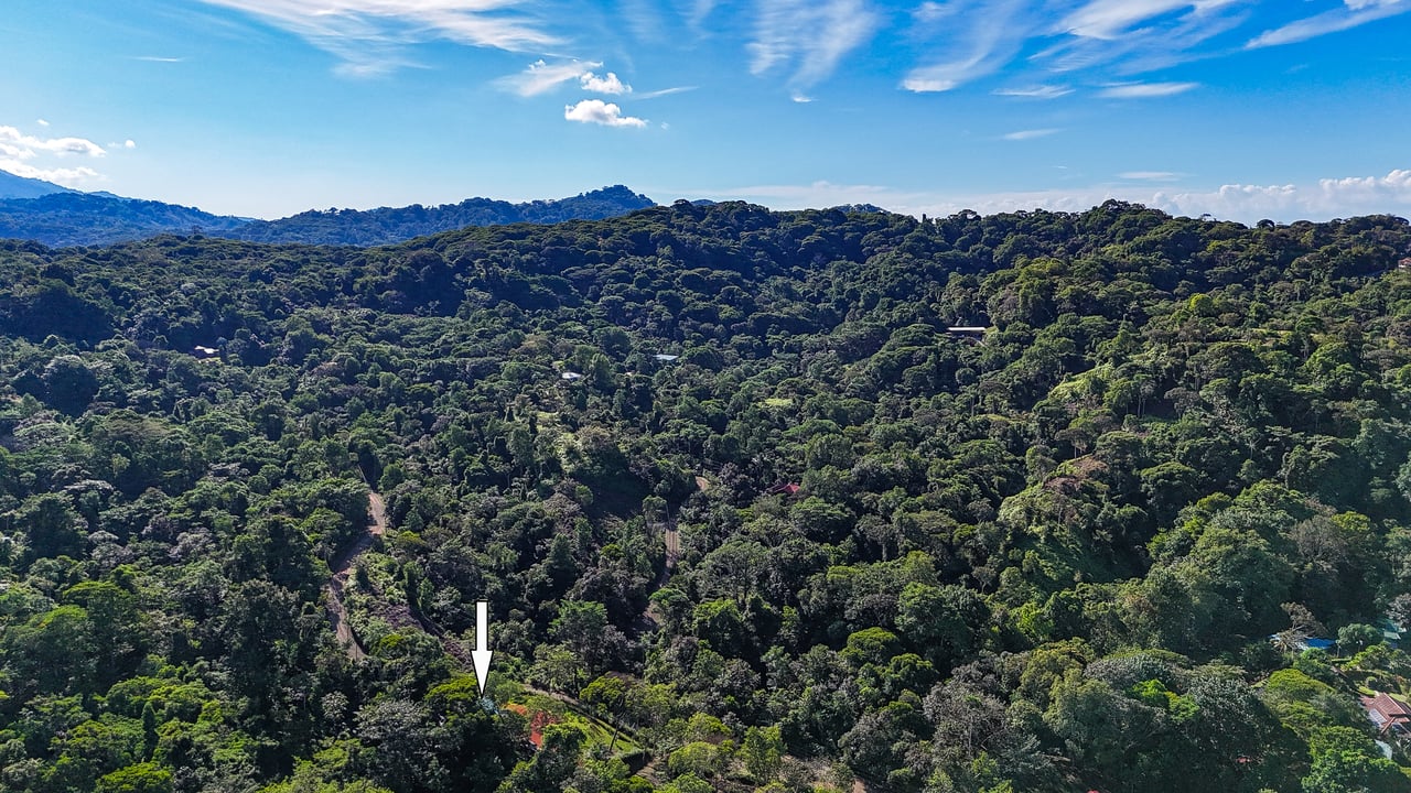 Jungle River Retreat with Airbnb & Build Space in Ojochal