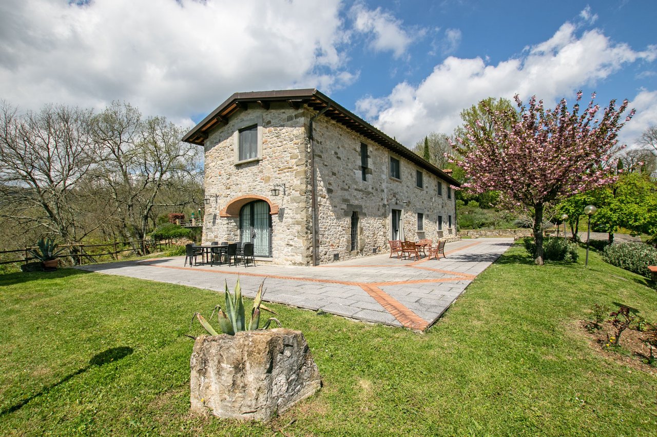 PODERE VICCHIO