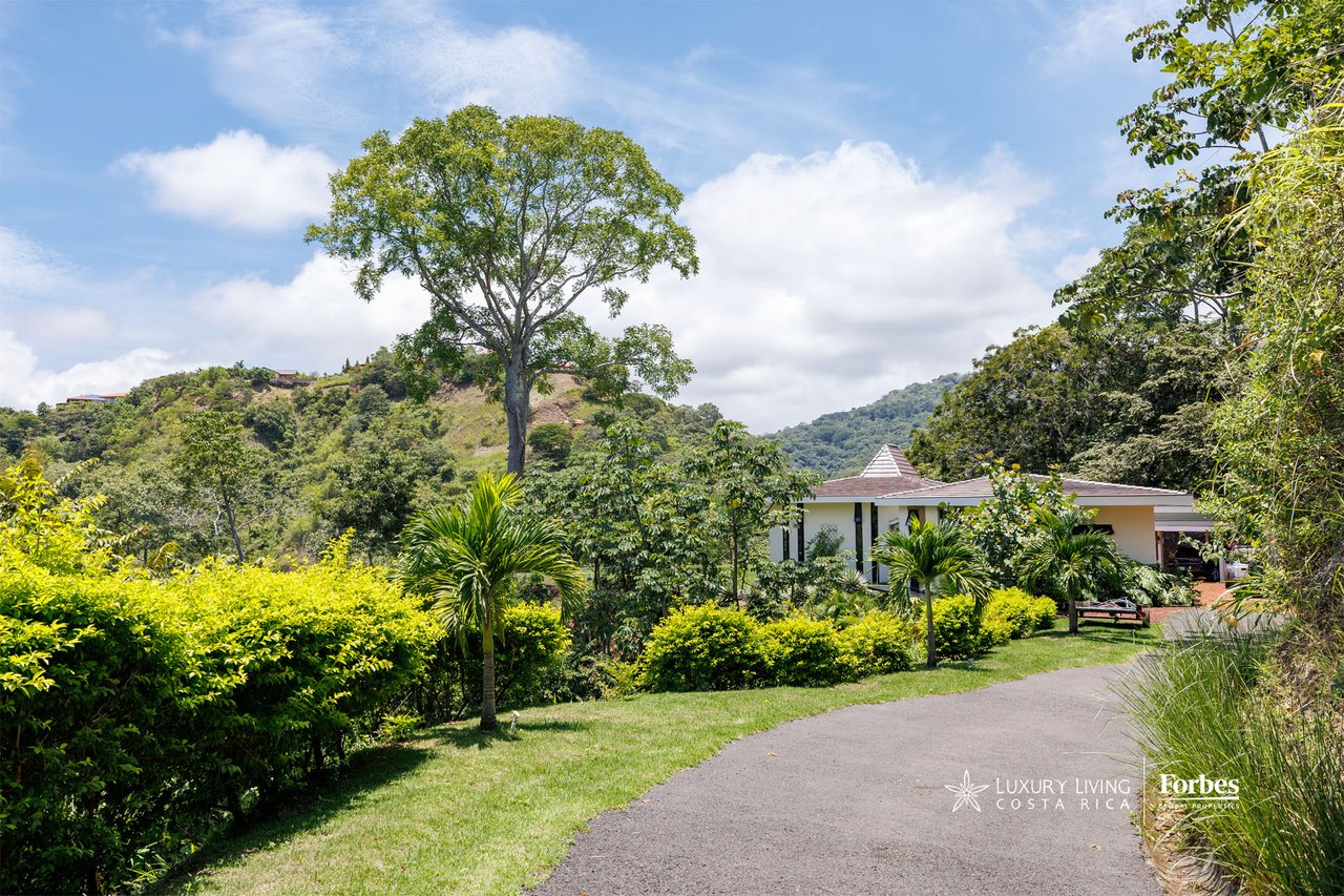 Modern home among tropical gardens, with a paved driveway and green hills behind it.