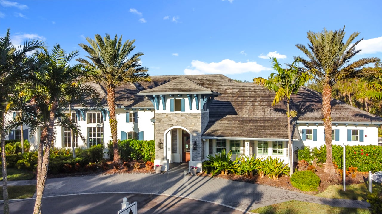 Grand Palm