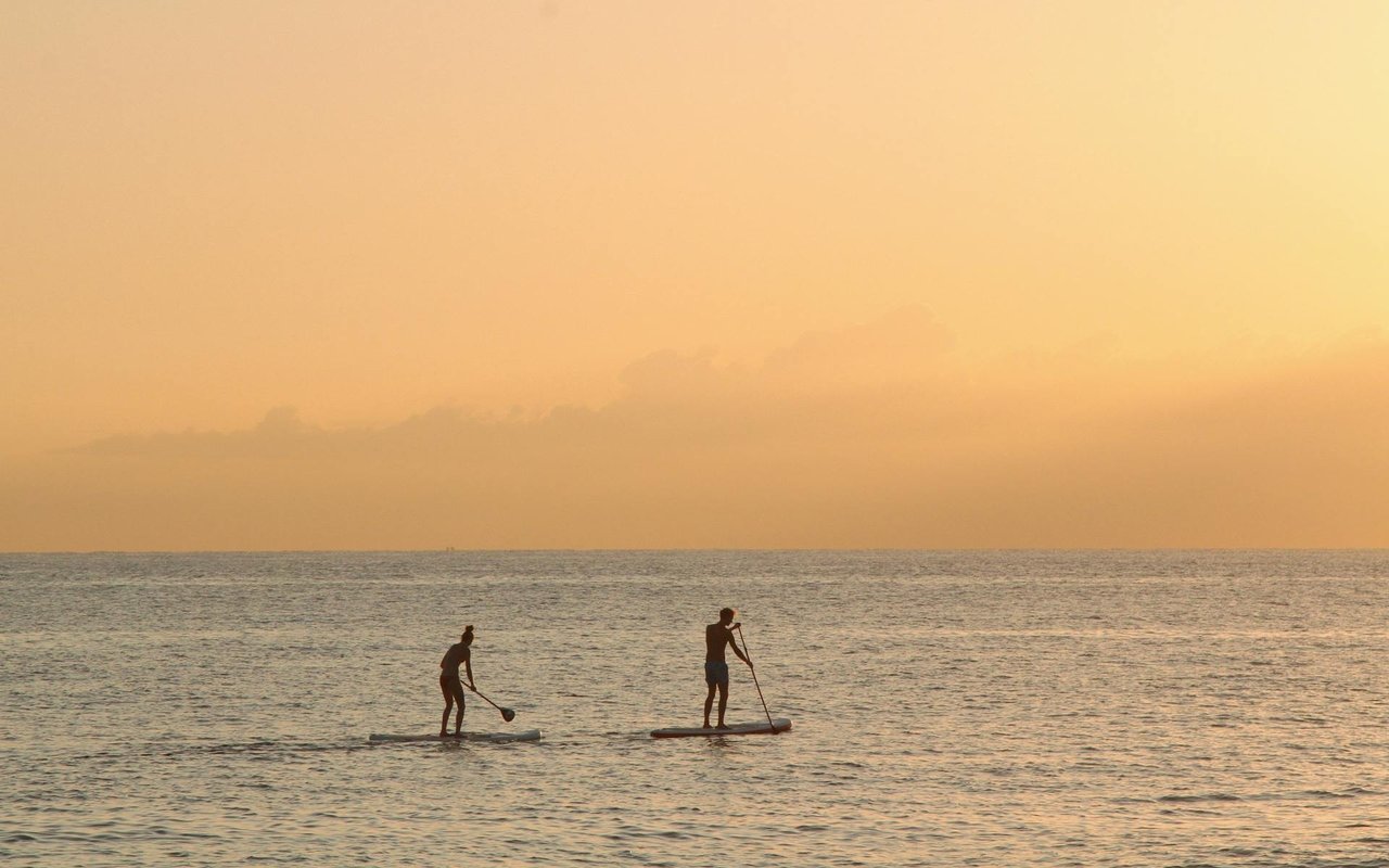 Stand Up Paddle Boarding in Newport Beach, California | Location, Rentals, or Buy Your Own Board