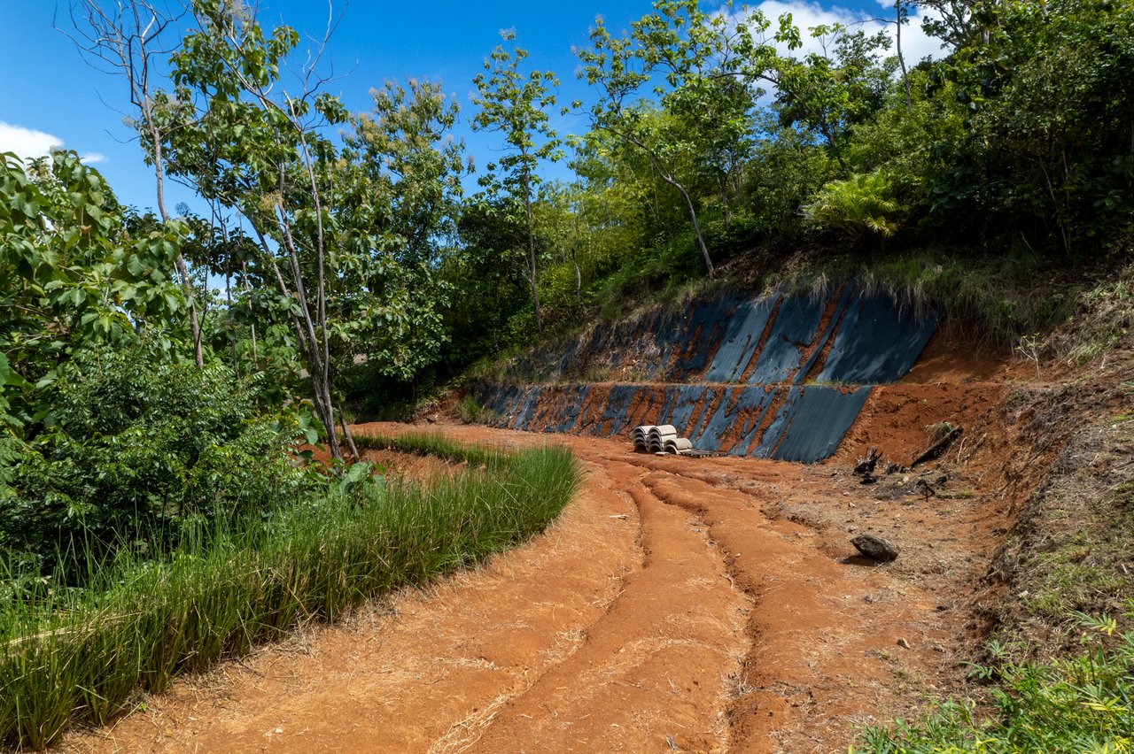 ¡New Gated Development in Matapalo - Ocean View and Flat Land, ready to build!