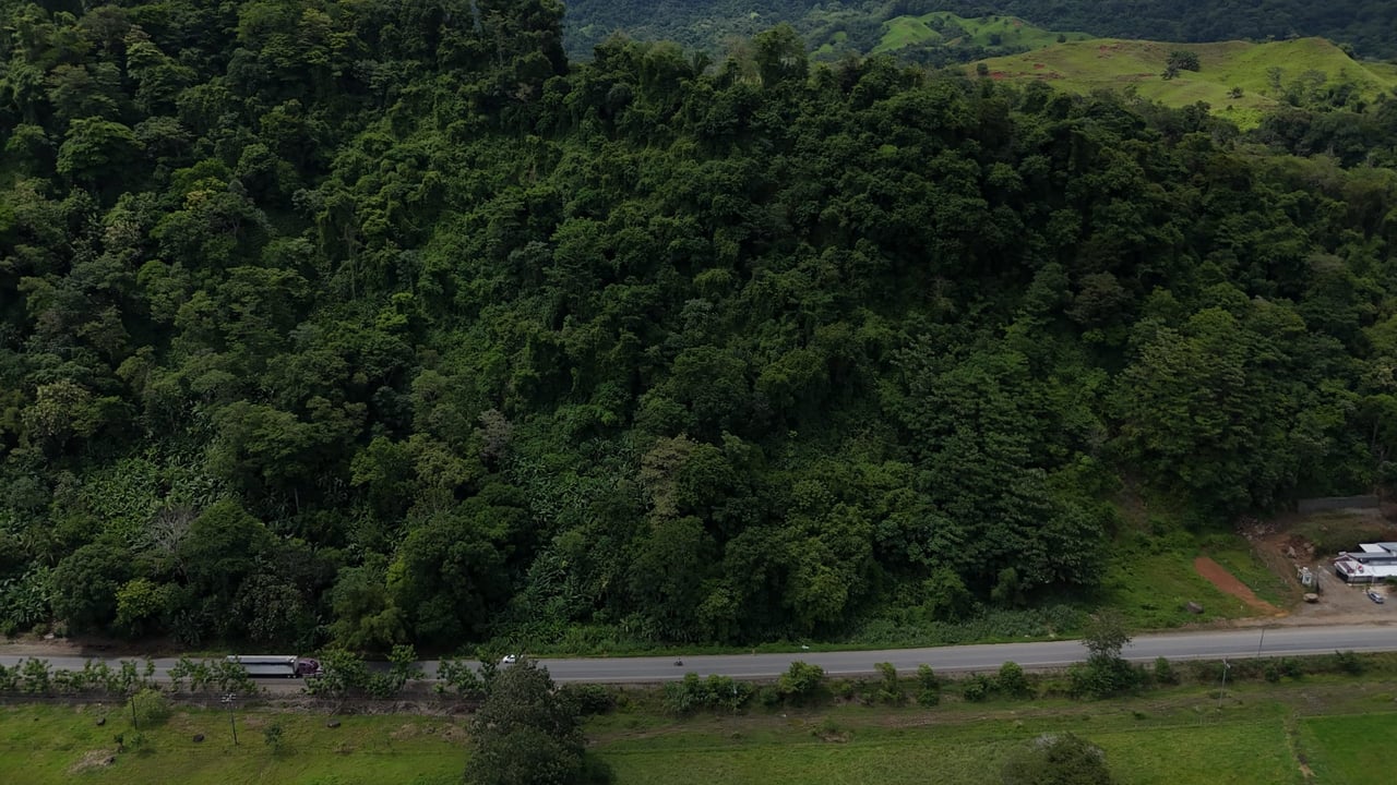 3.35 ACRES – Highway Front Commercial Property with Panoramic Ocean Views, 2 Minutes to Playa Linda!!!