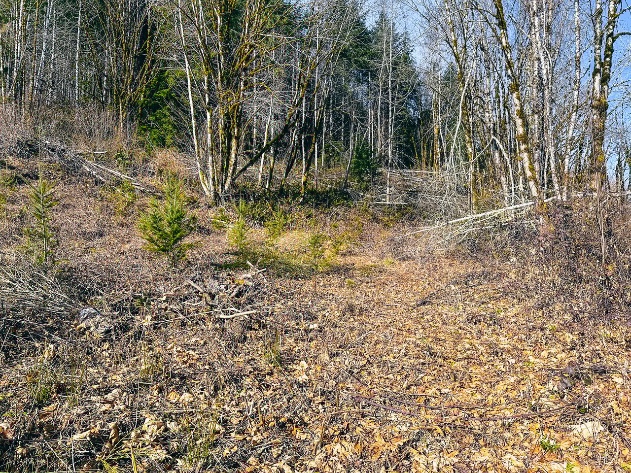 Waite Creek Woodlands