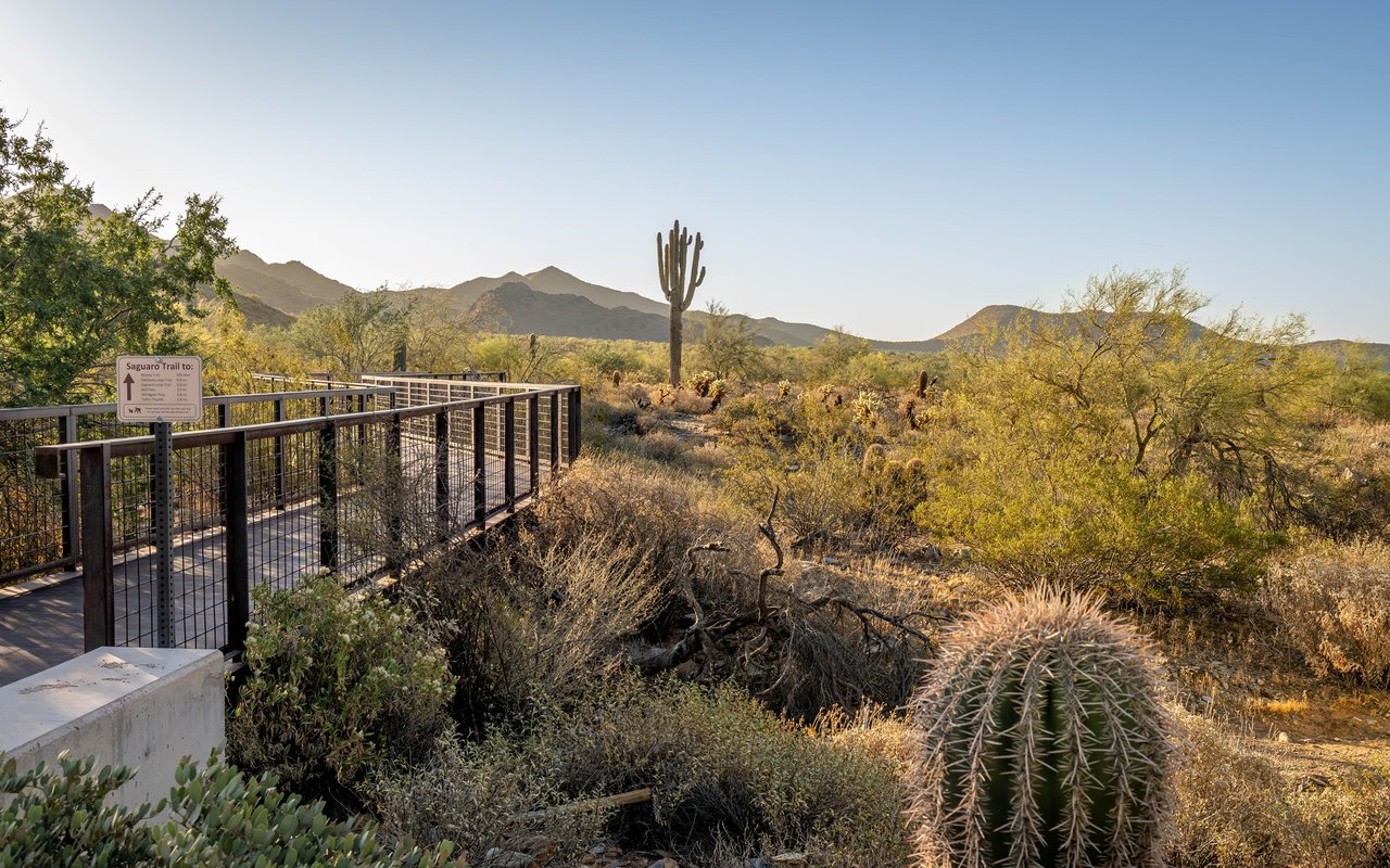 Silverleaf at DC Ranch