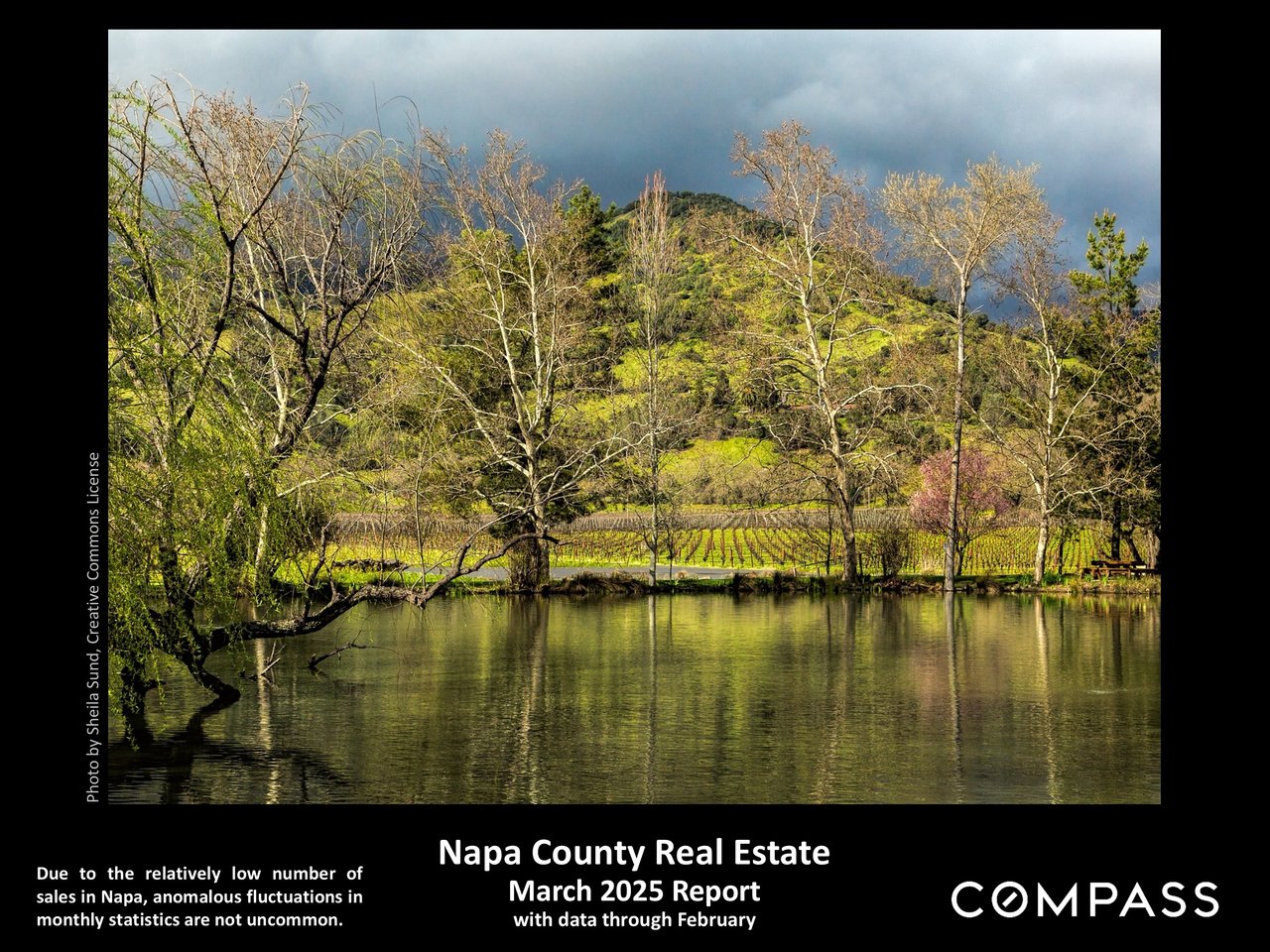 Napa County Real Estate March 2025 Report