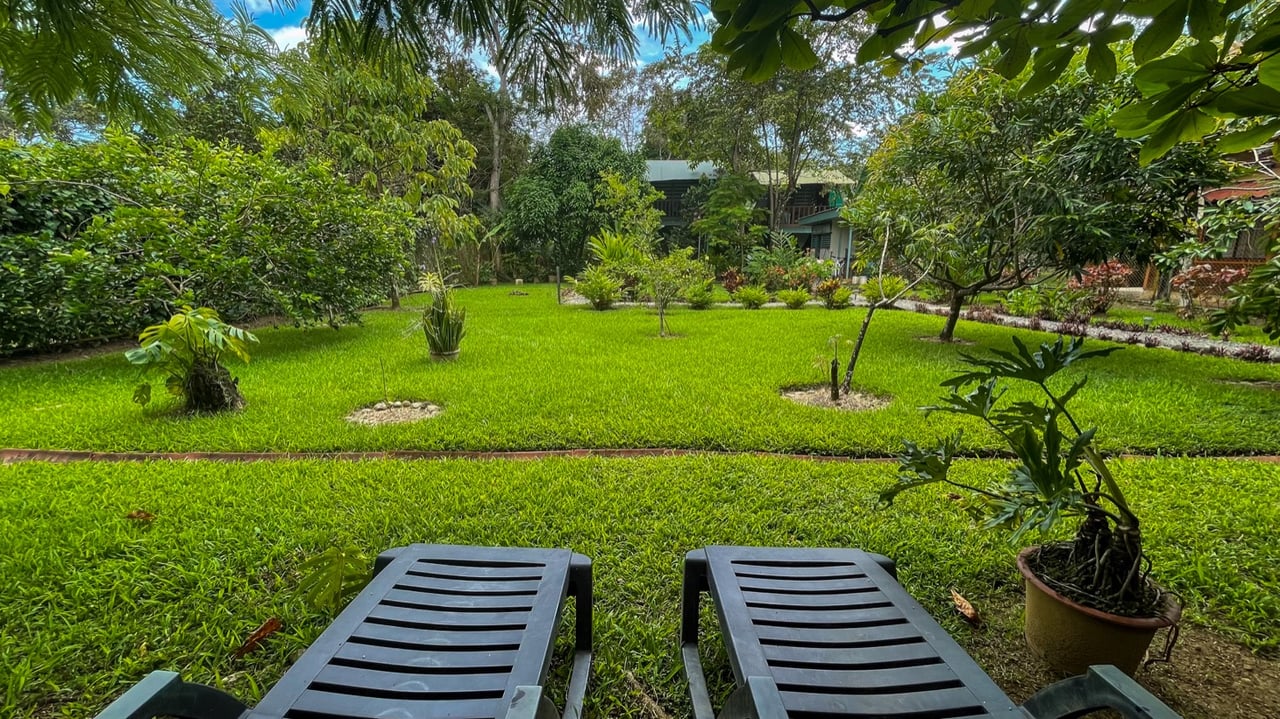 Investment Opportunity! Eco-Friendly Rental Property Near Playa Chaman and Playa Colonia