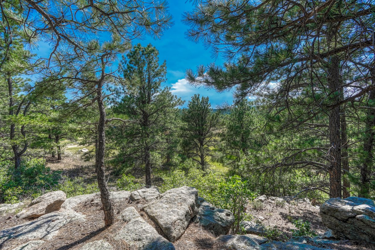 10345 Little Moon Trail