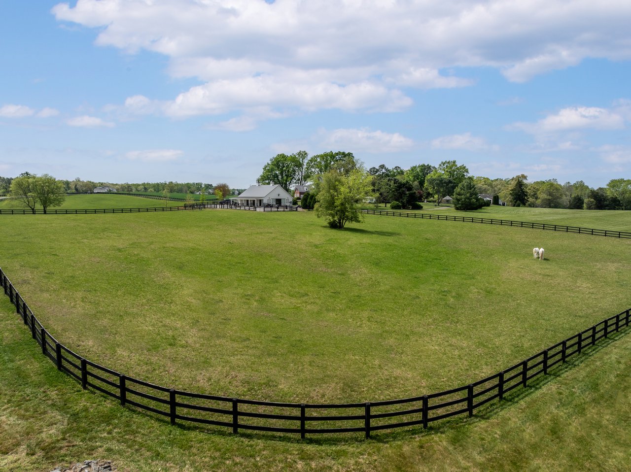 12428 Walnut Hill Drive