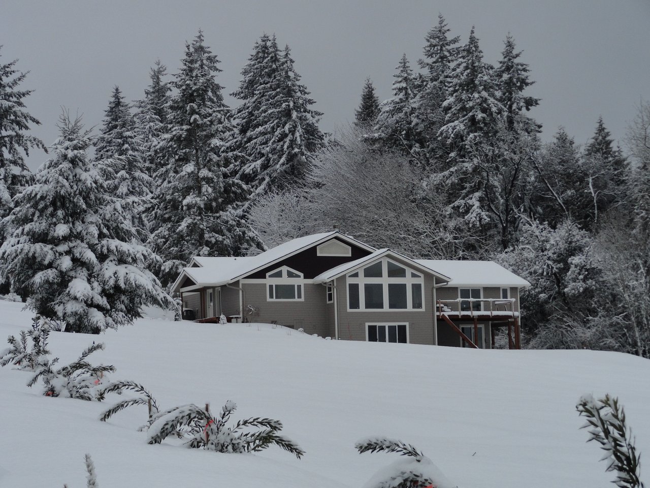 33399 SW BALD PEAK RD