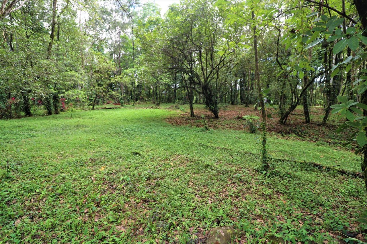 Uvita Prime Commercial Property - 5.9 acres