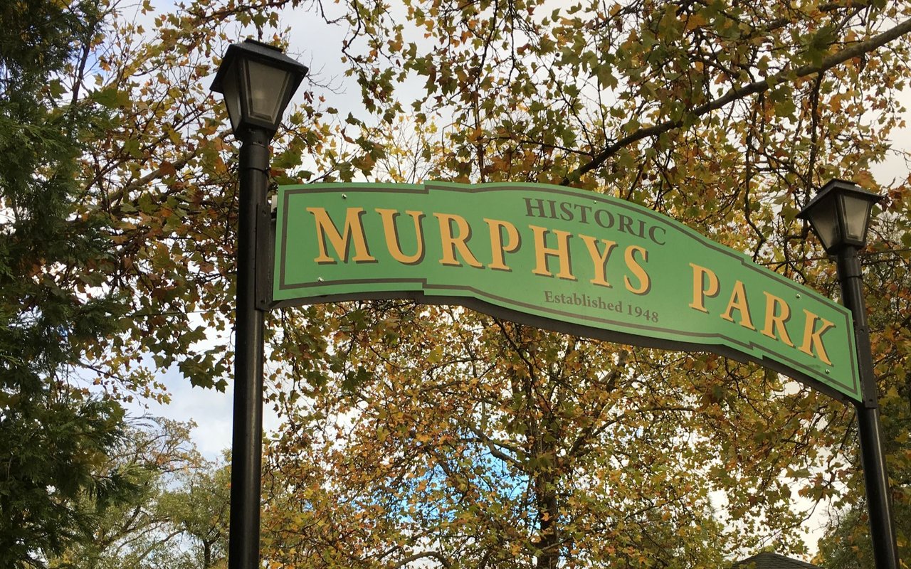 Murphys