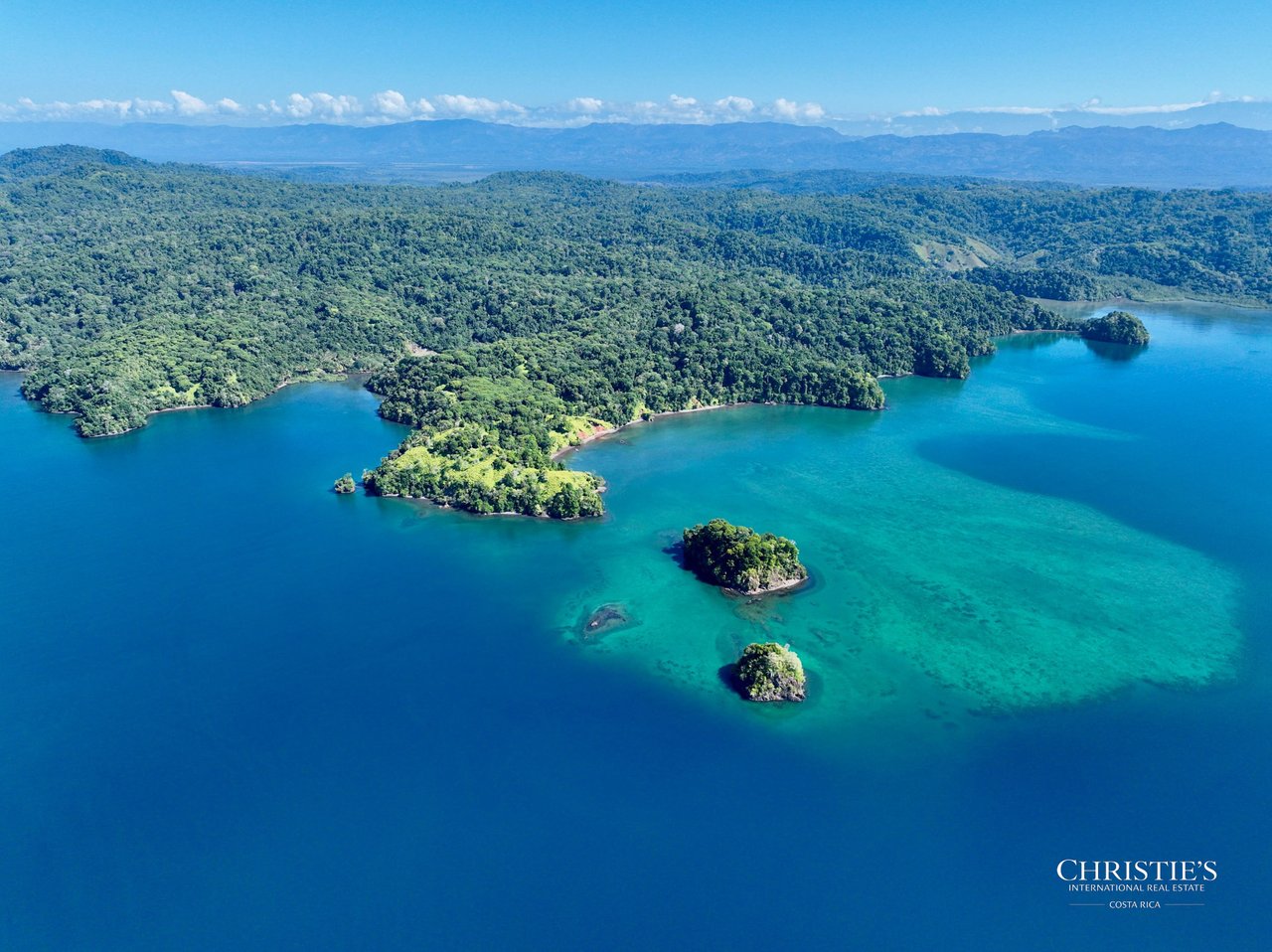 Jungle Islands — Los Mogos