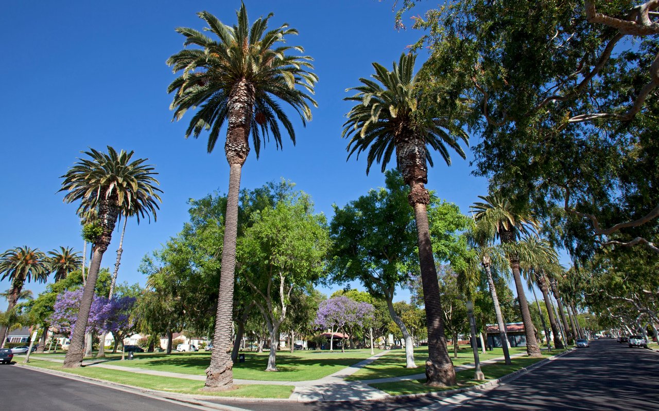 California City