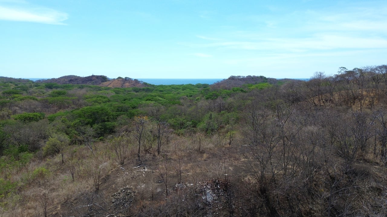 5 HECTARES DEVELOPMENT OPPORTUNITY - PLAYA MINAS