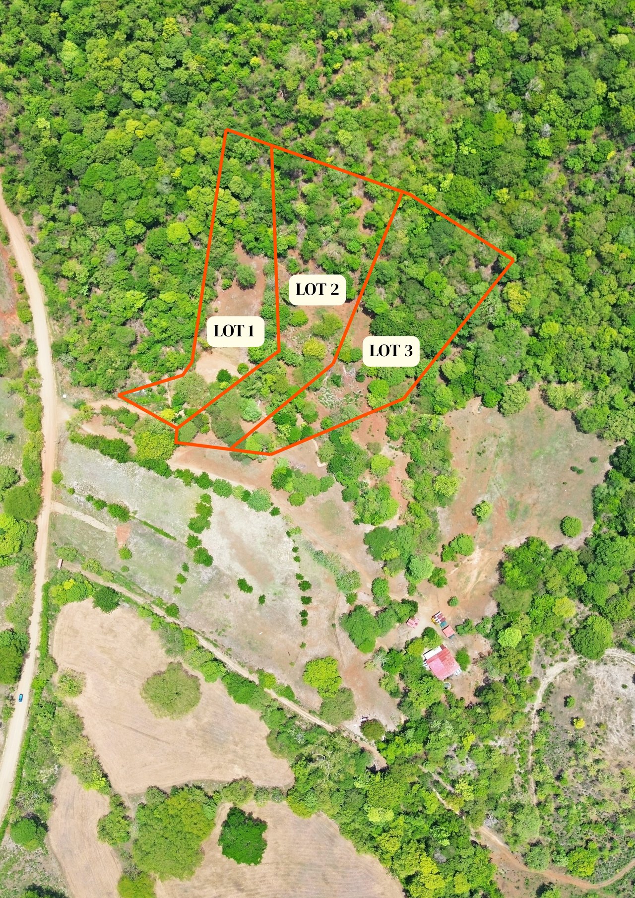 3.4 Acres of Quiet Country Living | 12 minutes from the Beach - Tempate 
