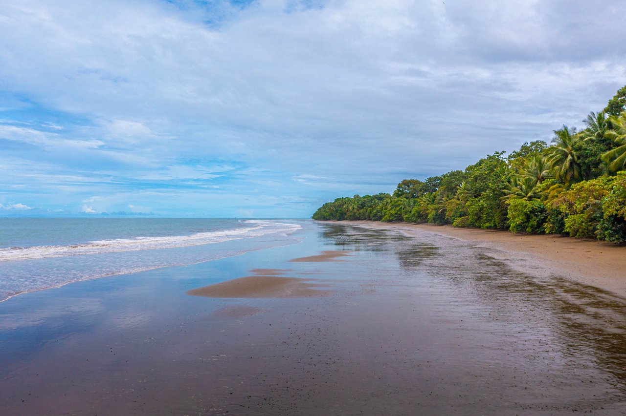 Luxury Beachfront Penthouse Condo - Most Private Unit in Elan
