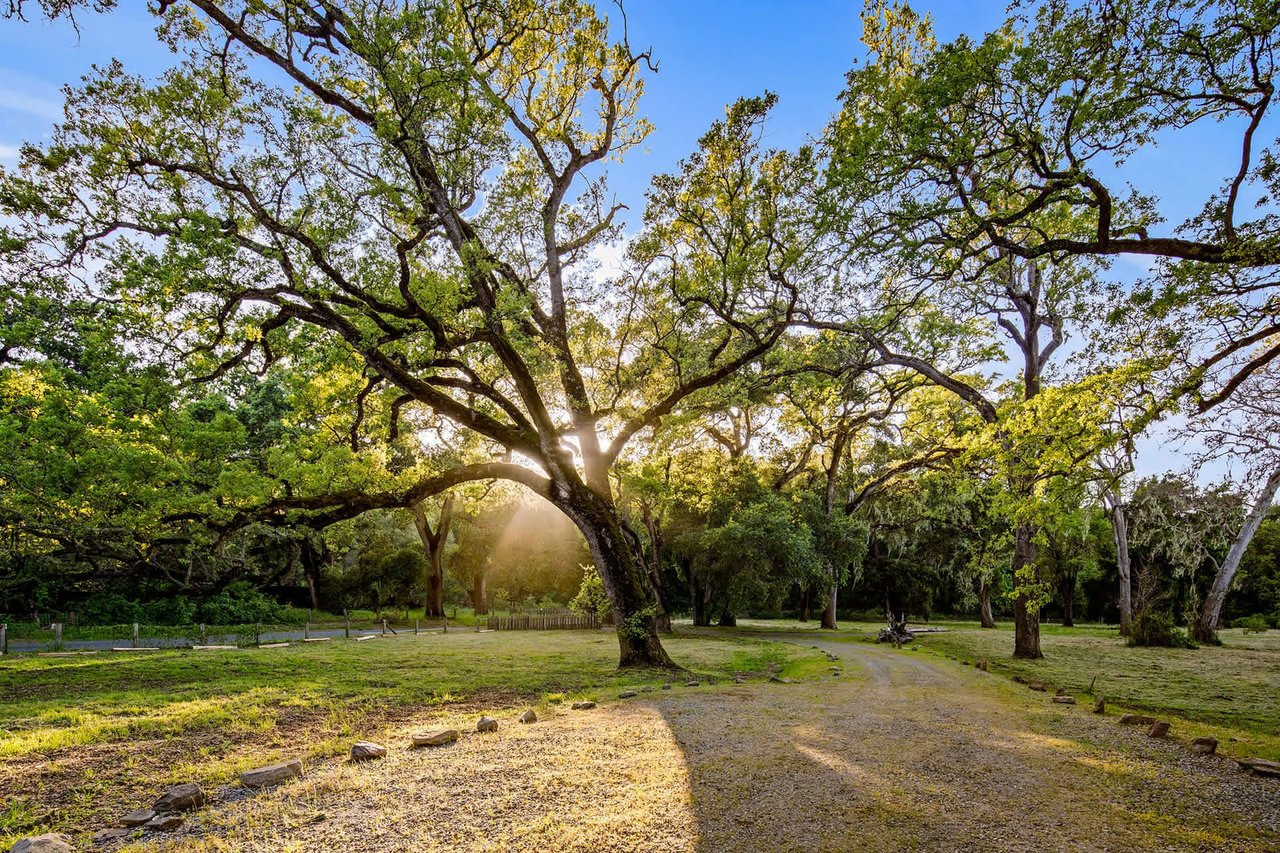 Stunning Preserve Compound - 34205 Robinson Canyon Rd