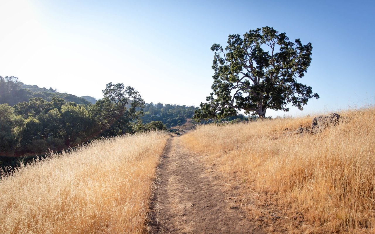 Tehama County